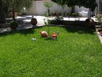 A garden outside AGERI STUDIOS