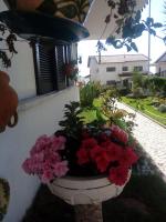 Zahrada ubytování Apartamentos Bela Vista