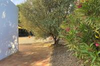 A garden outside LLEBEIG -Casa mediterránea con gran jardín