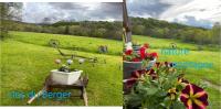 two pictures of a field with flowers in a field at Le Clos Du Berger in Le Sauze