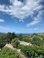 Príroda v okolí of the bed and breakfast