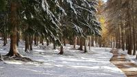 Mein Sonnenhof during the winter