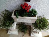 Půdorys ubytování Apartamentos Bela Vista