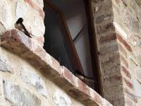 Plán poschodí v ubytovaní San Venanzo - Casale de Conti