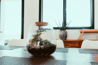 a glass vase with a plant in it on a table at Le Paradis du petit Rupembert in Wimille