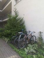 Jazda na bicykli v okolí ubytovania Apartment in Siofok/Balaton 20059
