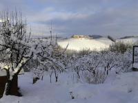 B&B Sant'Anna 21 during the winter
