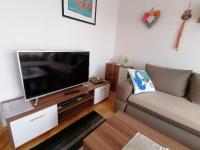 Televízia a/alebo spoločenská miestnosť v ubytovaní Apartment Varelija