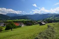 a green field with houses and mountains in the background at Bio Ferienbauernhof Greber in Schwarzenberg