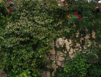 Jardín al aire libre en El Cuartel del Rio Dulce