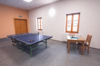 Stolní tenis v ubytování Penzion Horský statek nebo okolí