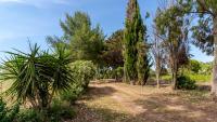 Vonkajšia záhrada v ubytovaní Villa Luisa - Your Holiday in Sardinia