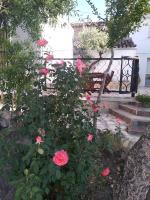 A garden outside Casa Rural Consuelo