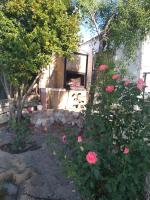 A garden outside Casa Rural Consuelo