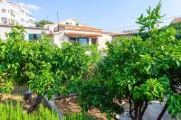 Vonkajšia záhrada v ubytovaní Sea and Lemon Tree apartment
