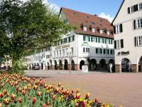 un grupo de edificios con flores en un patio en Hotel Krone, en Freudenstadt