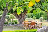 Zahrada ubytování La Casa di Lina - Capo d'Orlando, casa con ampio giardino