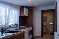 Kuchyň nebo kuchyňský kout v ubytování Apartmány LIZARD