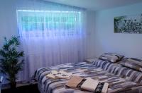 Postel nebo postele na pokoji v ubytování Apartmány LIZARD