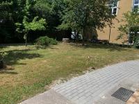 Ogród w obiekcie Borsi Apartman