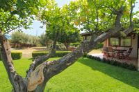 Zahrada ubytování La Casa di Lina - Capo d'Orlando, casa con ampio giardino