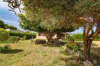 Zahrada ubytování La Casa di Lina - Capo d'Orlando, casa con ampio giardino