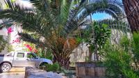 A garden outside Ιlias rooms