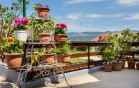 Príroda v okolí apartmánu