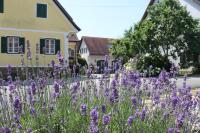 Vonkajšia záhrada v ubytovaní Farmer-Rabensteiner