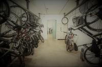 Jazda na bicykli v okolí ubytovania Appartamento Campagnola 1