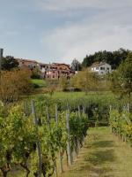 Vonkajšia záhrada v ubytovaní LissaHouse Agriturismo