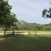 a park with a tree and a mountain in the background at Sur les pas de Pagnol in Aubagne
