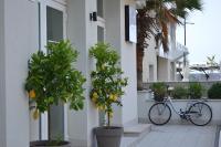 Jazda na bicykli v okolí ubytovania Hotel Riva e Mare