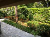 a garden with a palm tree and some plants at Seaside Holiday Home Lily in Njivice