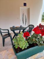 Zahrada ubytování Apartmani Dejan