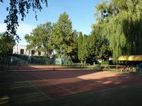 Tenis lub squash w obiekcie Garden Club Panzió lub w pobliżu
