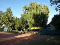 Tenis lub squash w obiekcie Garden Club Panzió lub w pobliżu