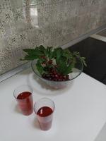 Půdorys ubytování Holiday Home Goge