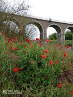 un champ de fleurs rouges avec un pont en arrière-plan dans l&#39;établissement ferme de fenivou, à Boulieu-lès-Annonay