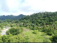 Naturlandschaft in der Nähe des Resorts