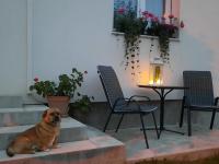Domáce zviera alebo zvieratá hostí v ubytovaní Studio apartman Marta