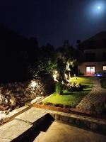 Forest Apartmentsにある庭