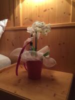 Plán poschodí v ubytovaní Villa Verde B&B