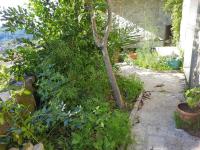 Zahrada ubytování VILLA CATARINA · XuresVillas