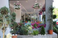 Vườn quanh Spring Holiday Resort