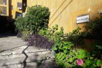 A garden outside Corfu town Kanoni apartment