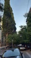 Okolie apartmánu