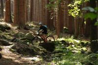 Jazda na bicykli v okolí ubytovania 3 Kroki Do Lasu