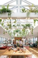 a restaurant with plants hanging from the ceiling at Zoku Vienna in Vienna
