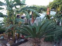 Jardín al aire libre en Casa Baleso